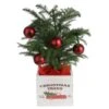 Fresh Norfolk Island Pine Indoor Plant In 4 In. Decor Pot, Avg. Shipping Height 10 In. Tall 1 Fresh Norfolk Island Pine Indoor Plant In 4 In. Decor Pot, Avg. Shipping Height 10 In. Tall -Home plant costa farms fresh christmas plants 4norfolkburlap 64 1000