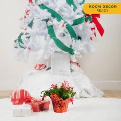 Grower's Choice Holiday Christmas Cactus In 6 In. Decor Pot Cover, Avg. Shipping Height 10 In. (2-Pack) 15 Grower's Choice Holiday Christmas Cactus In 6 In. Decor Pot Cover, Avg. Shipping Height 10 In. (2-Pack) -Home plant costa farms fresh christmas plants co 6zygo 3 gold 1f 1000