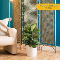 Fiddle Leaf Fig Indoor Plant In 10 In. Decor Planter, Avg. Shipping Height 2-3 Ft. Tall 17 Fiddle Leaf Fig Indoor Plant In 10 In. Decor Planter, Avg. Shipping Height 2-3 Ft. Tall -Home plant costa farms house plants co fli10 3 sgwht 31 1000