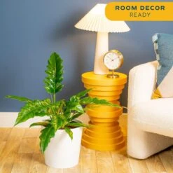 Grower's Choice Philodendron Plant In 10 In. Decor Pot, Avg. Shipping Height 2-3 Ft. Tall 15 Grower's Choice Philodendron Plant In 10 In. Decor Pot, Avg. Shipping Height 2-3 Ft. Tall -Home plant costa farms house plants l phi s wcp 01 31 1000