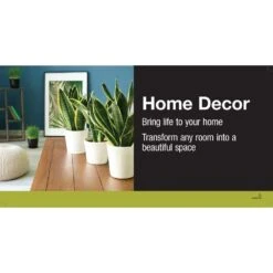 Grower's Choice Aglaonema Chinese Evergreen Indoor Plant In 6 In. White Decor Pot, Avg. Shipping Height 1-2 Ft. 15 Grower's Choice Aglaonema Chinese Evergreen Indoor Plant In 6 In. White Decor Pot, Avg. Shipping Height 1-2 Ft. -Home plant costa farms house plants m agl s wjp 01 66 1000