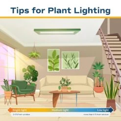 Front Page -Home plant costa farms house plants m asd s mwg 01 66 1000