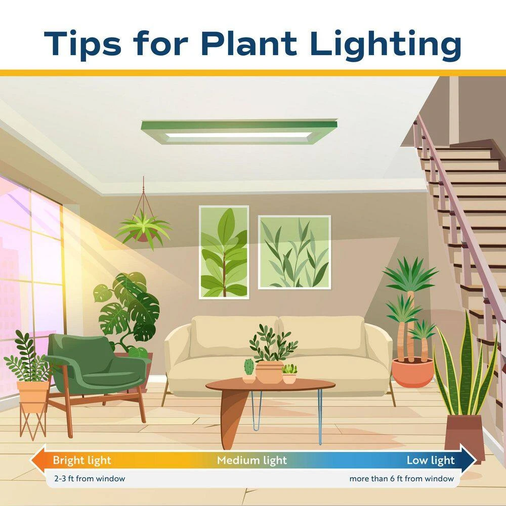 Philodendron Monstera Swiss Cheese Indoor Plant In 10 In. Decor Weave Planter, Avg. Shipping Height 2-3 Ft. Tall 4 Philodendron Monstera Swiss Cheese Indoor Plant In 10 In. Decor Weave Planter, Avg. Shipping Height 2-3 Ft. Tall - Image 2