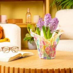 6 In. Purple Hyacinth Plant In Easter Decor Mylar Wrap, Average Shipping Height 10 In. Tall 15 6 In. Purple Hyacinth Plant In Easter Decor Mylar Wrap, Average Shipping Height 10 In. Tall -Home plant costa farms perennials m hy4 w emy 01 31 1000