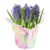 6 In. Purple Hyacinth Plant In Easter Decor Mylar Wrap, Average Shipping Height 10 In. Tall -Home plant costa farms perennials m hy4 w emy 01 64 1000
