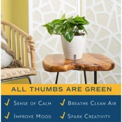 Pothos Indoor Plant In 6 In. Self-Watering Decor Pot, Average Shipping Height 1-2 Ft. Tall 16 Pothos Indoor Plant In 6 In. Self-Watering Decor Pot, Average Shipping Height 1-2 Ft. Tall -Home plant costa farms pothos plants co po60 3 cyl 44 1000