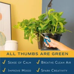 Grower's Choice Indoor/Outdoor Plant In 10 In. Hanging Basket, Avg. Shipping Height 12-20 In. -Home plant costa farms pothos plants l epi g hgp 01 31 1000