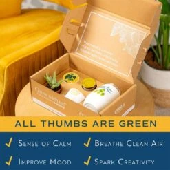 Gift Occasion Box With 2 In. Grower's Choice Succulent In Decor Planter, Candle And Tumbler 13 Gift Occasion Box With 2 In. Grower's Choice Succulent In Decor Planter, Candle And Tumbler -Home plant costa farms succulent plants p suc p gob 01 1f 1000