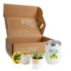 Gift Occasion Box With 2 In. Grower's Choice Succulent In Decor Planter, Candle And Tumbler 1 Gift Occasion Box With 2 In. Grower's Choice Succulent In Decor Planter, Candle And Tumbler -Home plant costa farms succulent plants p suc p gob 01 64 1000