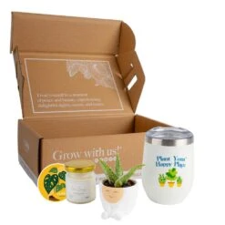 Gift Occasion Box With 2 In. Grower's Choice Succulent In Decor Planter, Candle And Tumbler