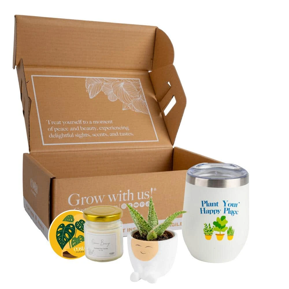Gift Occasion Box With 2 In. Grower's Choice Succulent In Decor Planter, Candle And Tumbler 3 Gift Occasion Box With 2 In. Grower's Choice Succulent In Decor Planter, Candle And Tumbler